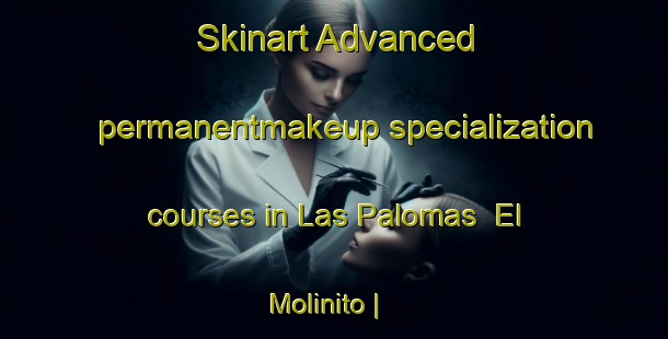 Skinart Advanced permanentmakeup specialization courses in Las Palomas  El Molinito | PermanentmakeupTraining | PermanentmakeupClasses | SkinartTraining-Mexico